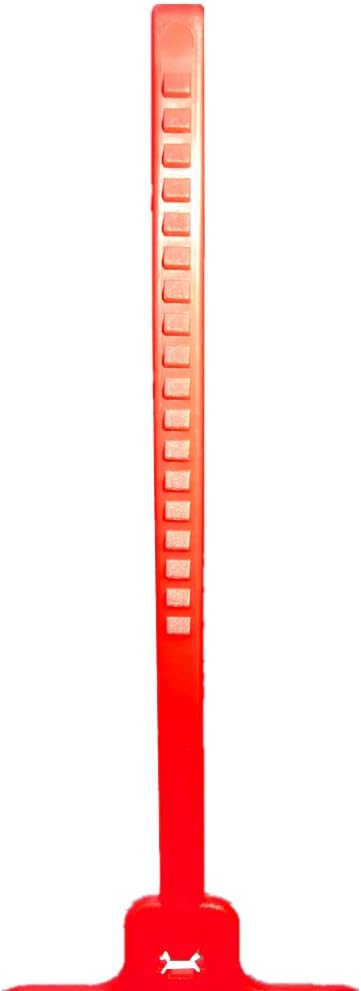 100pcs Reusable Blank Plastic Tags Ties Key Tags 1.45"*2.48" Serrated Tension Sealing Strap with Large Label Plastic Tie Mark Label Waterproof Hang Sign Write on Tag (Red, 100pcs)