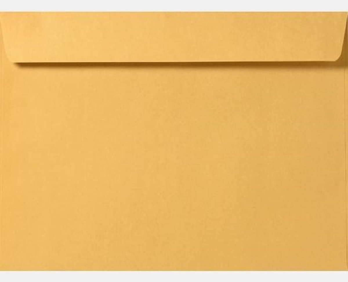 Limited Papers (TM) Booklet Envelopes, (Open Side) Brown Kraft, Gummed Seal, 28 Pound, Heavyweight, For Mailing And More. (1000, 12 x 16)