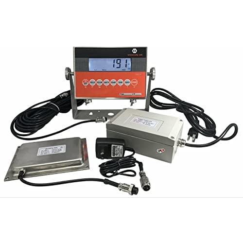 SL-4x4-Explosion Proof (Legal) Industrial 48" x 48" intrinsically Safe NTEP Floor Scale for Warehouse or Shipping Weighing (10000 lbs x 2 lb)