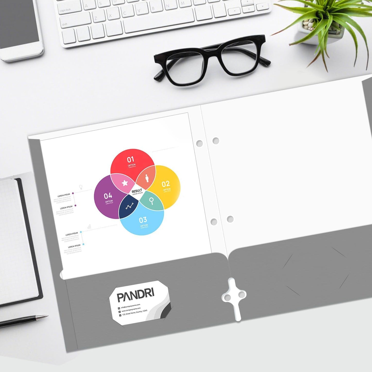 Two Pocket Portfolio Folders, PANDRI 60 Pack 3 Hole Punched 2 Pocket Folders for 3 Ring Binder, Letter Size Paper File Folder for School Office Home Business, Grey