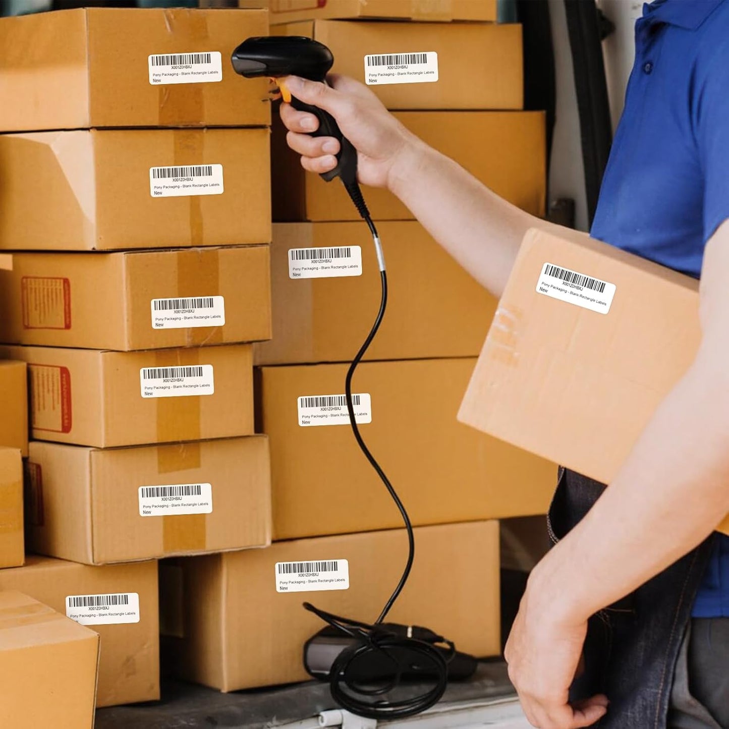 1" x 2-5/8" White Blank Address Labels, 3000 Labels (100 Sheets), Laser/Inkjet Compatible