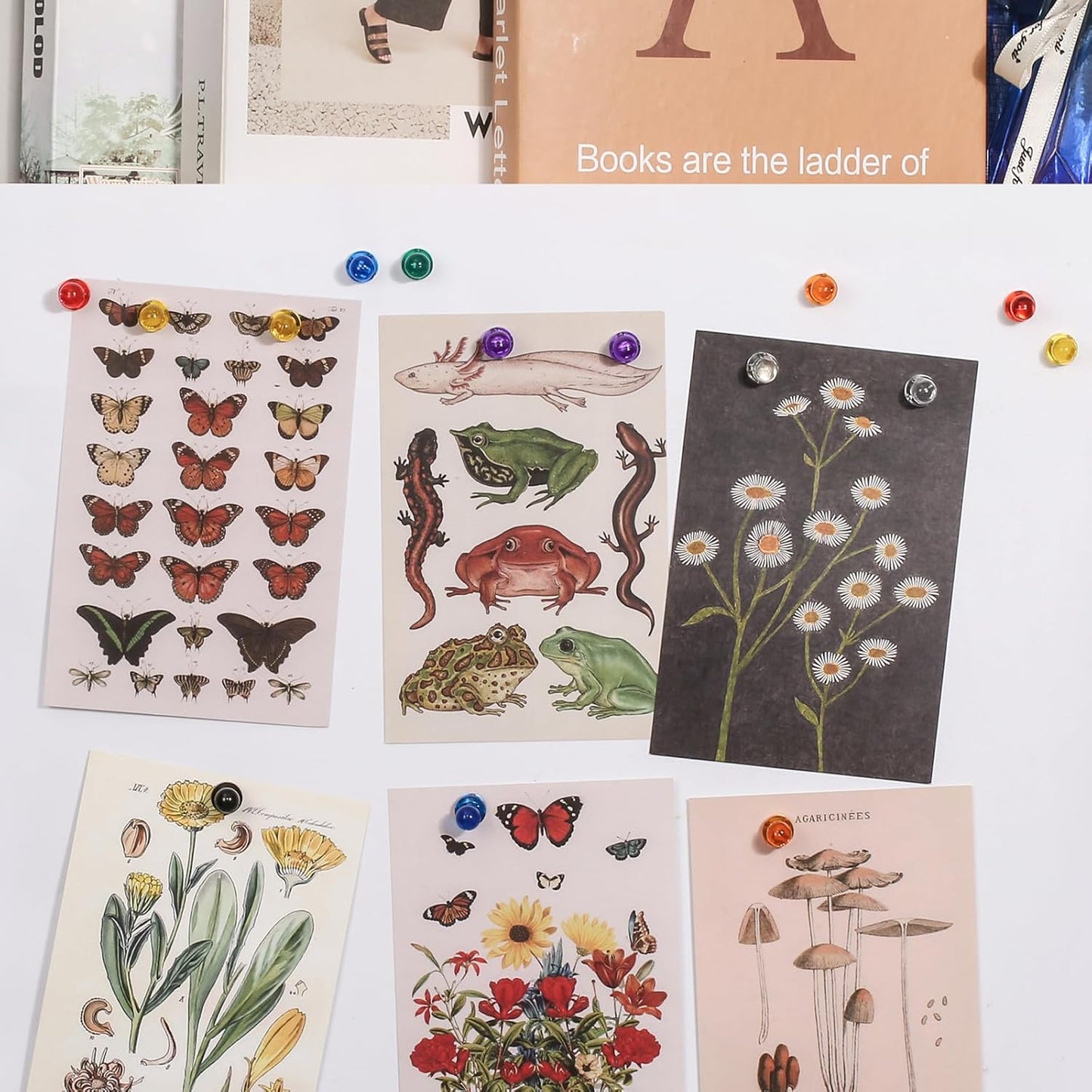 60PCS Colorful Strong Magnetic Push Pin Magnets, 6 Assorted Color for Office, Classroom, Kitchen Home and School, Map Magnets, Whiteboard Magnet