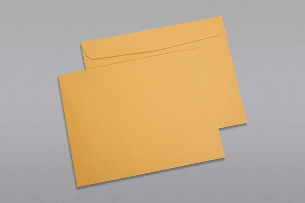 Limited Papers (TM) Booklet Envelopes, (Open Side) Brown Kraft, Gummed Seal, 28 Pound, Heavyweight, For Mailing And More. (500, 10 x 13)