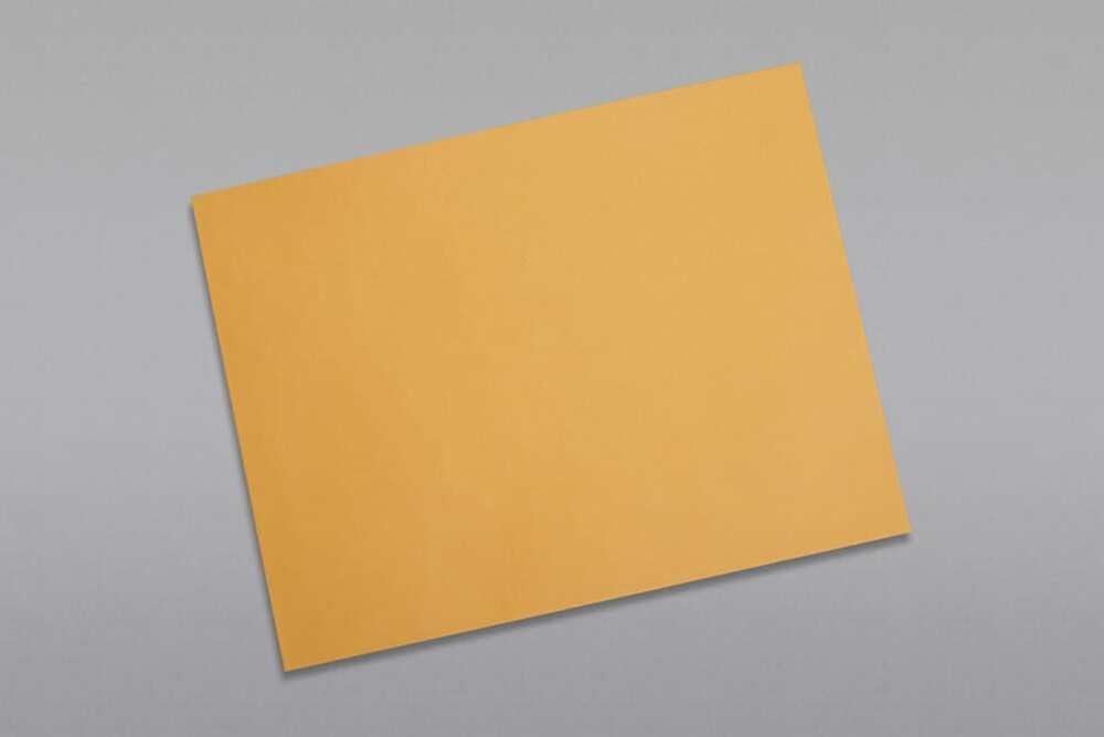 Limited Papers (TM) Booklet Envelopes, (Open Side) Brown Kraft, Gummed Seal, 28 Pound, Heavyweight, For Mailing And More. (500, 9.5 x 12)