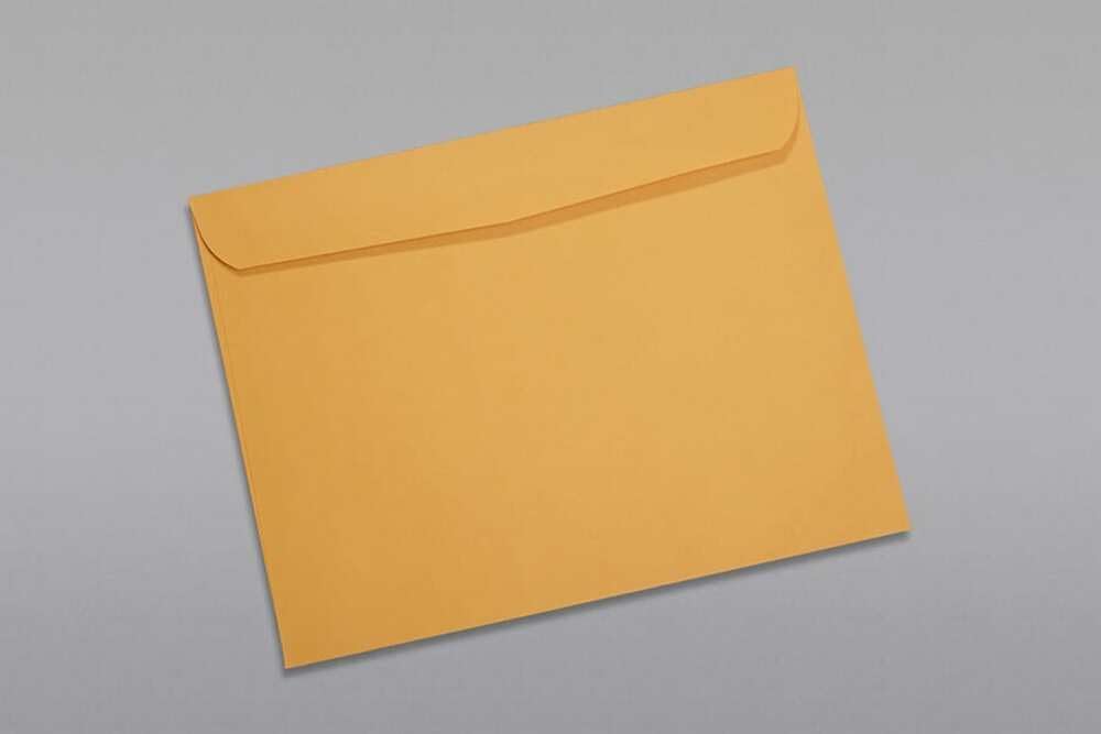 Limited Papers (TM) Booklet Envelopes, (Open Side) Brown Kraft, Gummed Seal, 28 Pound, Heavyweight, For Mailing And More. (250, 10 x 13)