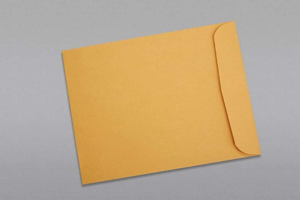 Limited Papers (TM) Booklet Envelopes, (Open Side) Brown Kraft, Gummed Seal, 28 Pound, Heavyweight, For Mailing And More. (250, 12 x 16)