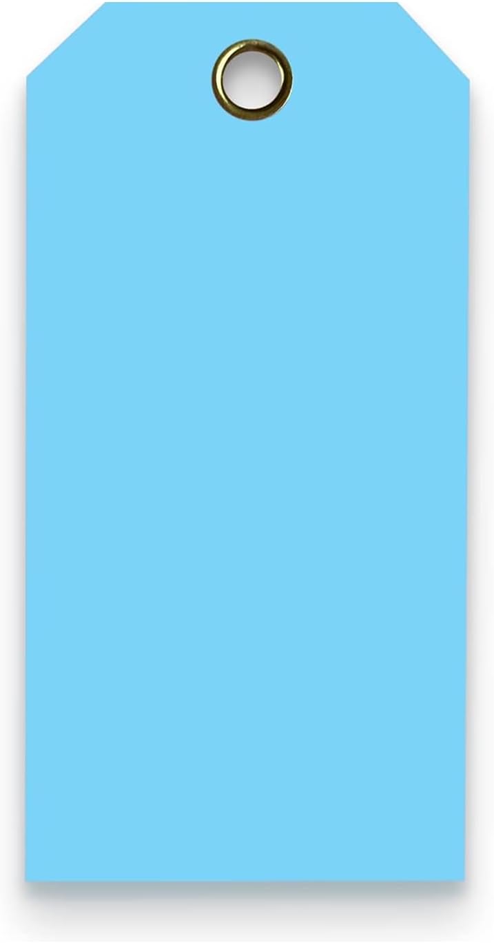 Tags 4 Less 15 Mil Waterproof Plastic Tags, Pack of 100 – 3” x 6” Heavy Duty Plastic Tags for Labeling, Outdoor Tagging, Equipment Labeling, Luggage, Valves & More (Light Blue)