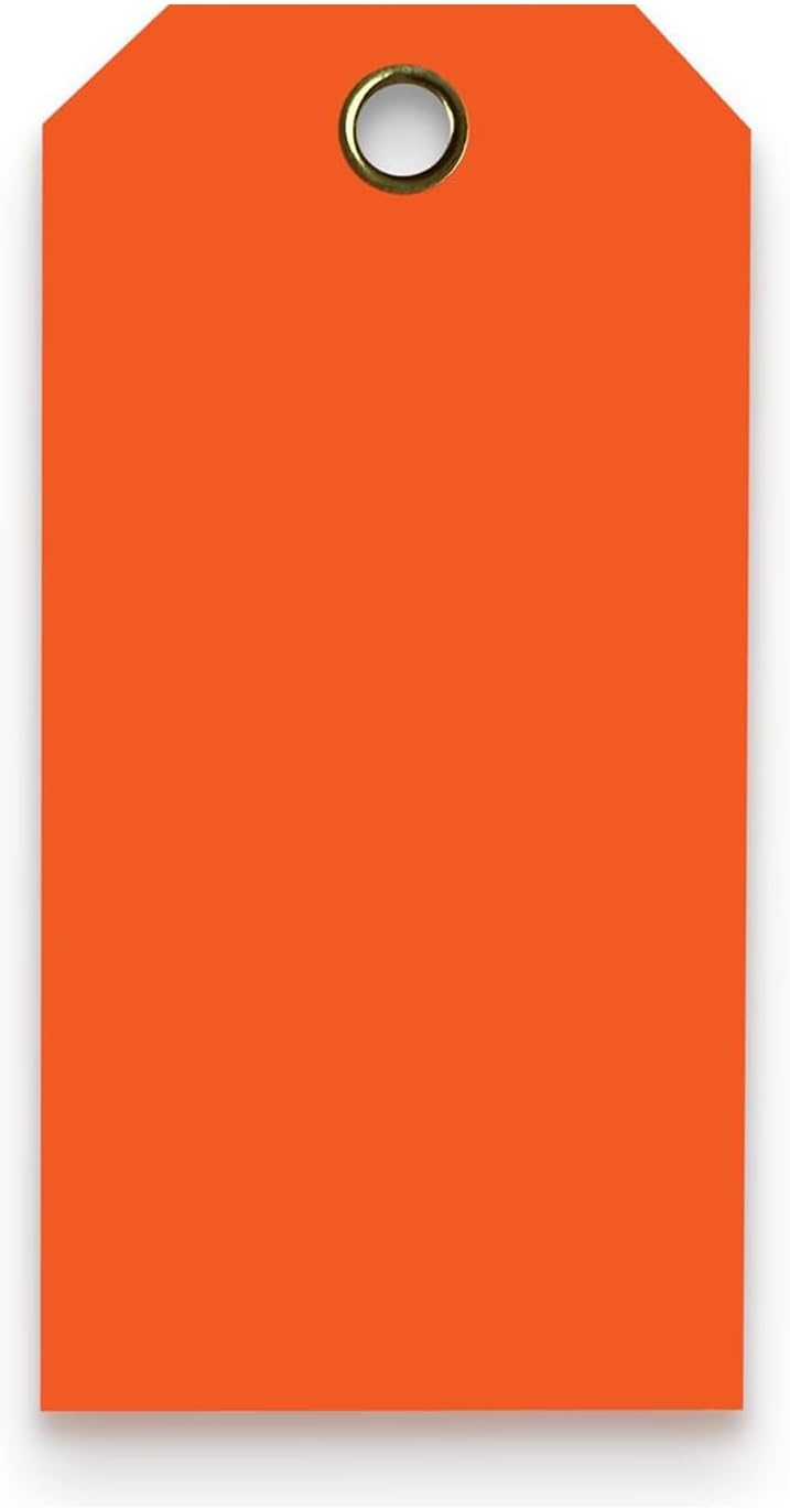 Tags 4 Less 15 Mil Waterproof Plastic Tags, Pack of 100 – 2” x 4” Heavy Duty Plastic Tags for Labeling, Outdoor Tagging, Equipment Labeling, Luggage, Valves & More (Orange)
