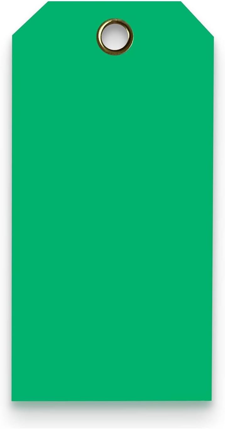 Tags 4 Less 15 Mil Waterproof Plastic Tags, Pack of 100 – 2” x 4” Heavy Duty Plastic Tags for Labeling, Outdoor Tagging, Equipment Labeling, Luggage, Valves & More (Dark Green)
