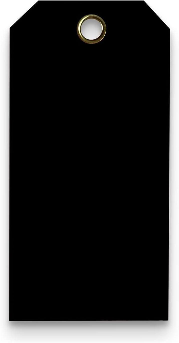 Tags 4 Less 15 Mil Waterproof Plastic Tags, Pack of 100 – 4” x 8” Heavy Duty Plastic Tags for Labeling, Outdoor Tagging, Equipment Labeling, Luggage, Valves & More (Black)