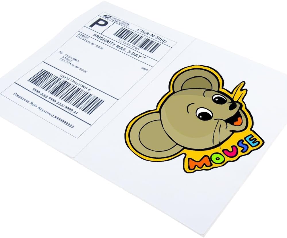 L LIKED 100 Half Sheet Shipping Labels, 2 per Sheet, 5.5 x 8.5 inchh, for Laser & Inkjet Printer (50 Sheets)