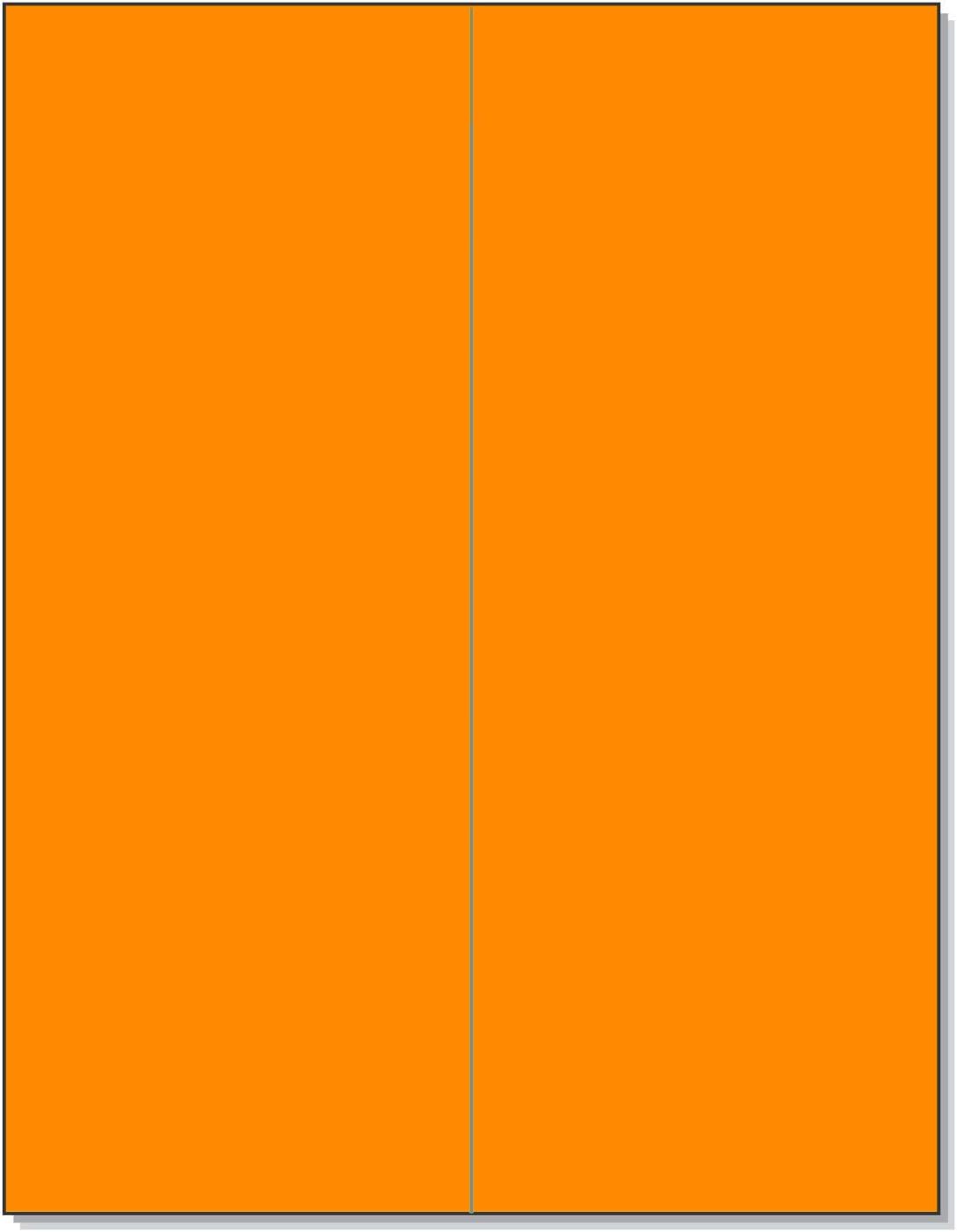 NextDayLabels 8-1/2 x 11" Neon Color High Light Fluorescent Labels for Laser & Inkjet Printer (Orange Fluorescent, 4-1/4" x 11" - 2 Per Page | 50 Labels)