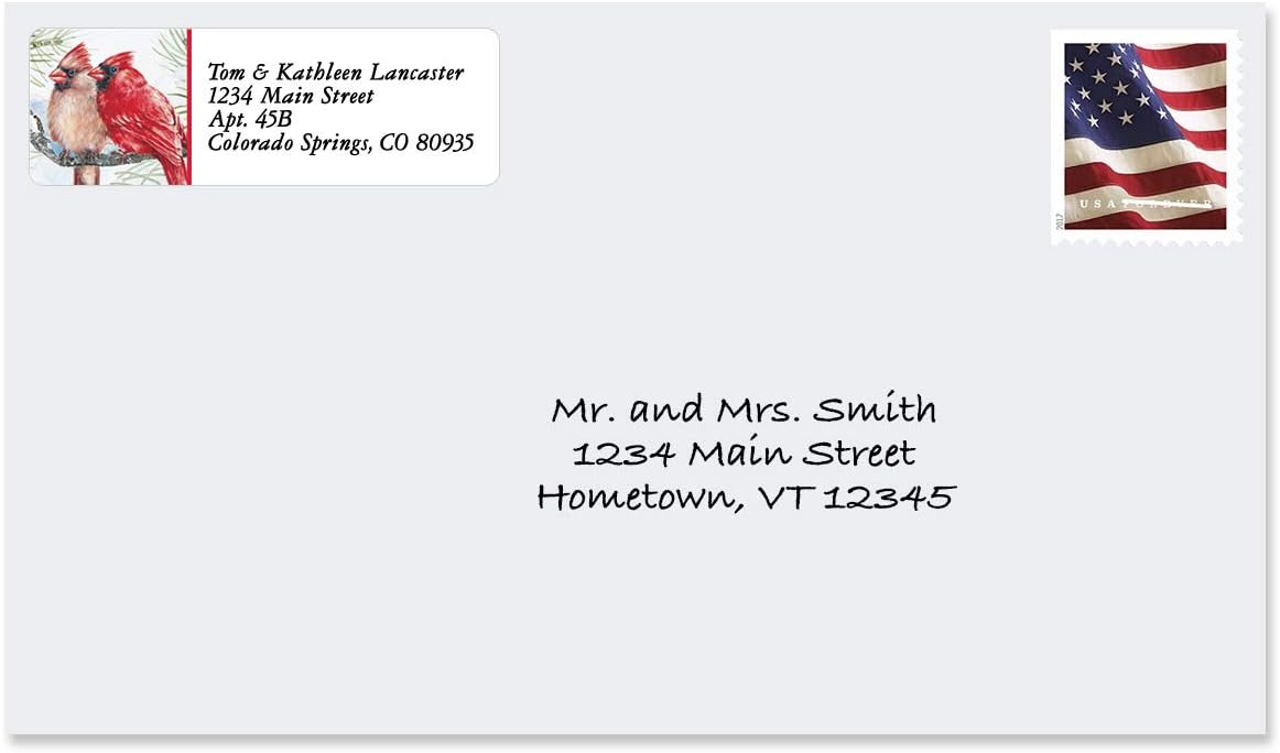 Colorful Images Garden Friends Birds Return Address Mailing Labels, Personalize with Name & Addresses, Set of 240 Self Adhesive, Easy Peel Flat Label Sheets, ⅝ x 2”, 6 Designs