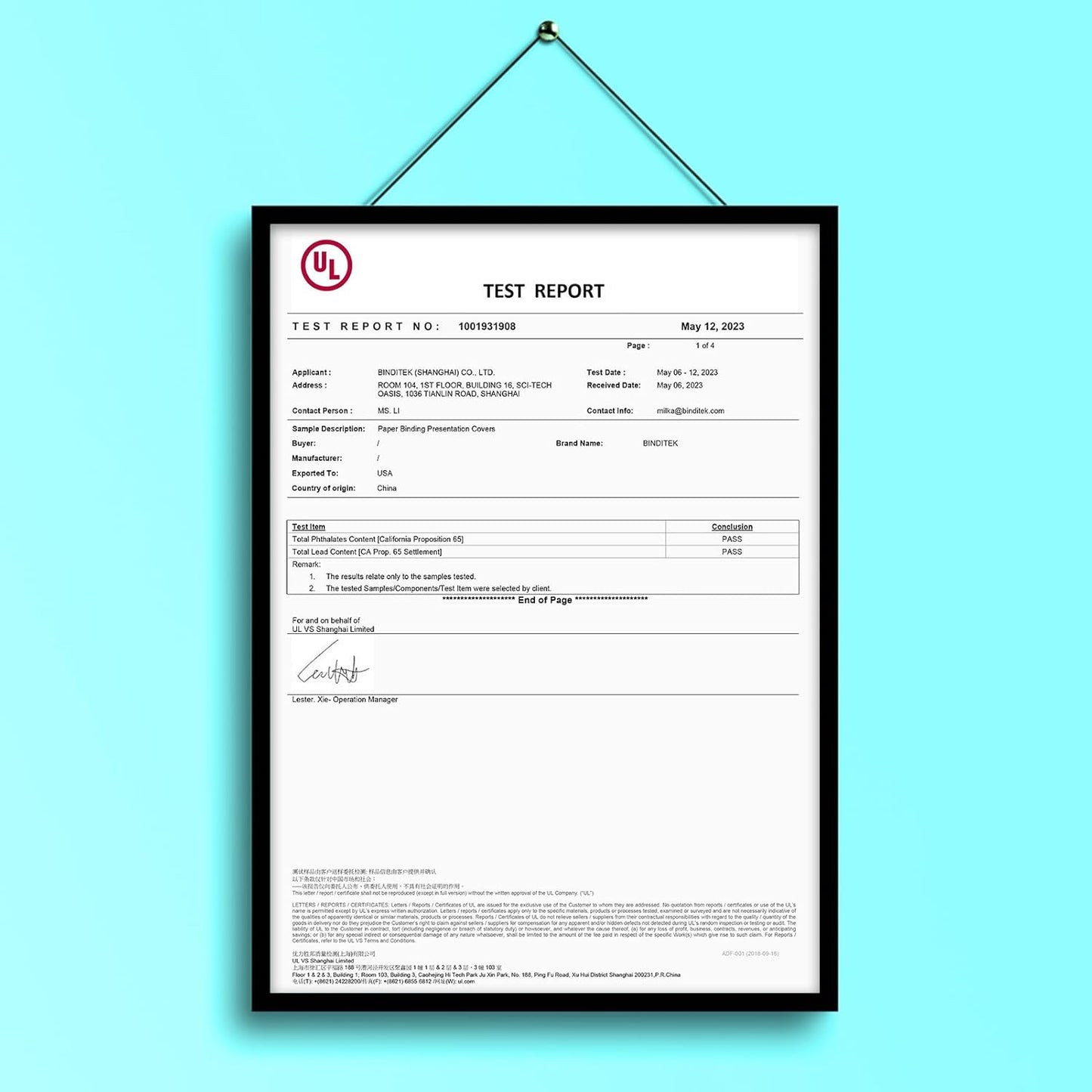 Binditek 10 Pack 13 Mil Glossy Paper Binding Presentation Covers, 250GSM, 90lb, for Business Documents, School Projects, 8-1/2 x 11", Un-Punched, Black, Office Supplies