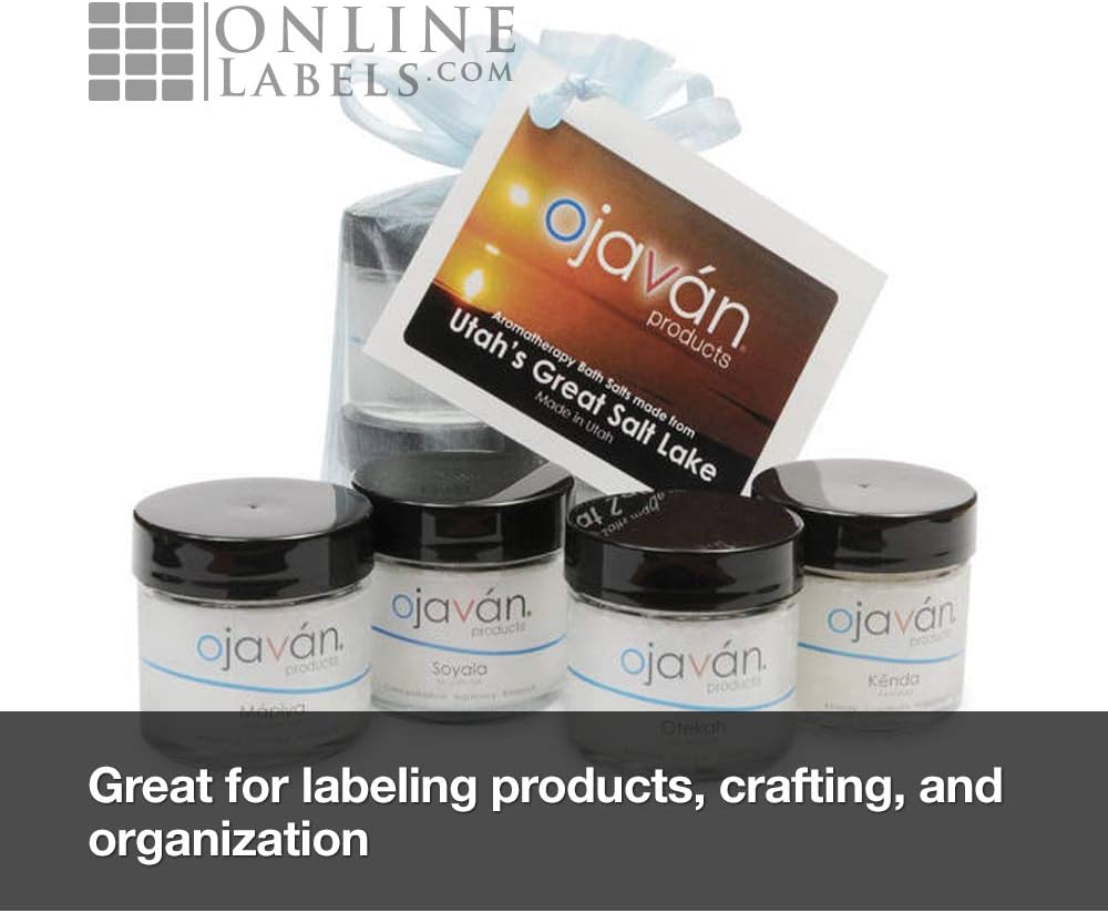 2.625" x 1" Waterproof Clear Gloss Address Labels - Pack of 300 Transparent Labels, 10 Sheets - Compatible with Laser Printers, OL875CL, OnlineLabels