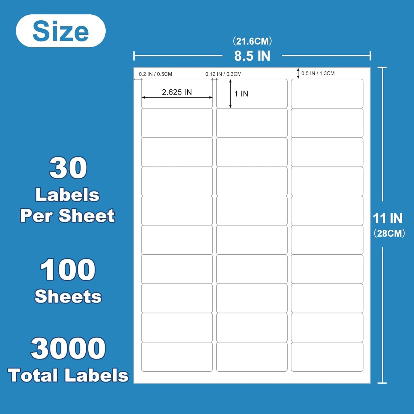 1" x 2-5/8" White Blank Address Labels, 3000 Labels (100 Sheets), Laser/Inkjet Compatible