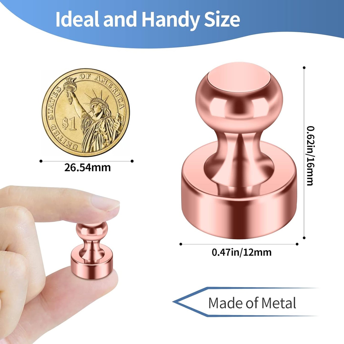 12Pack Rose Gold Fridge Magnets Refrigerator Magnets Adults Magnets for Whiteboard School Office Locker Kitchen Decorative Small and Strong