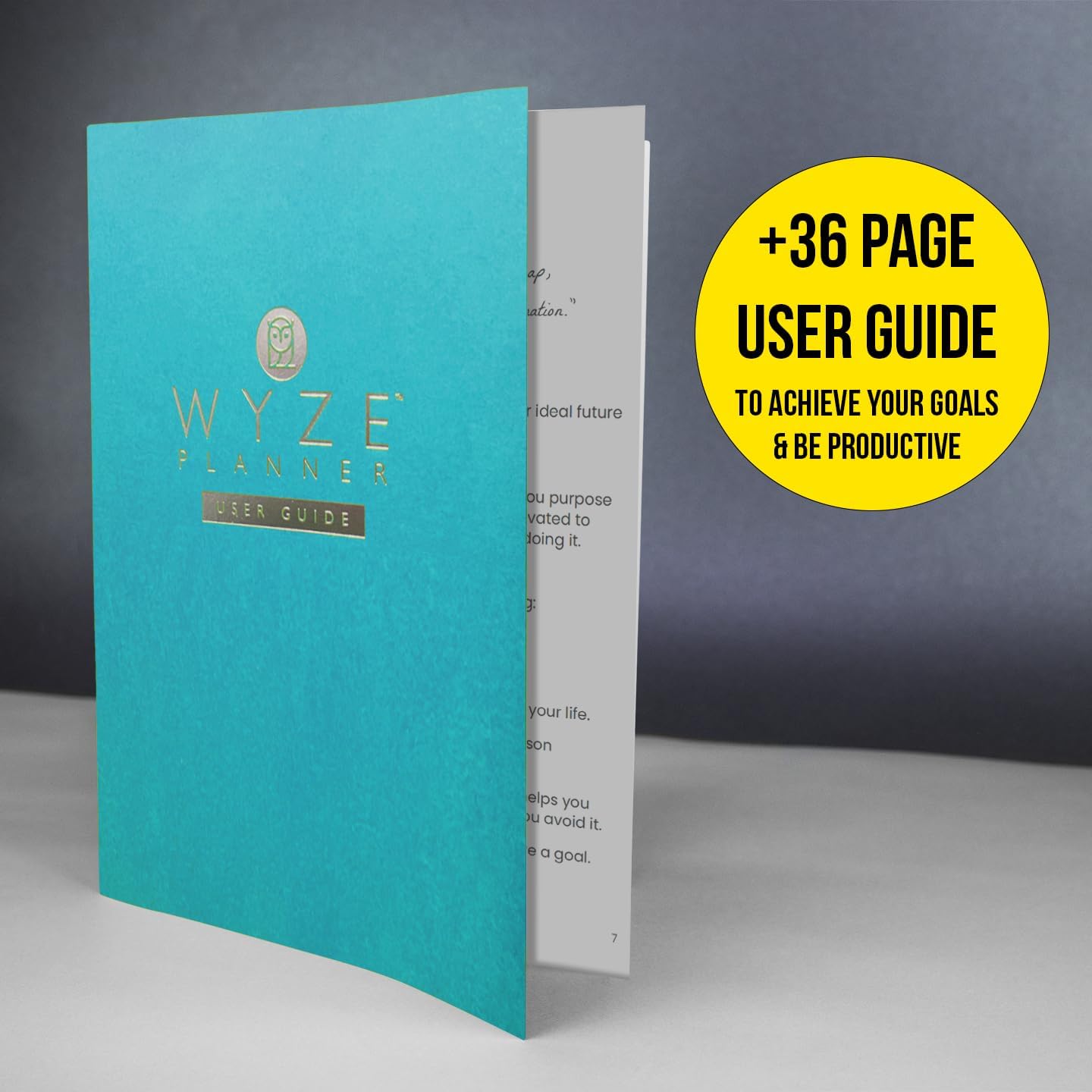 Undated Daily Planner – 3-Month A5 Productivity Organizer with Full Page Per Day, Hourly Schedule, Goal Setting, Habit Tracker, Weekly & Monthly Pages – Hardcover Time Management Notebook (Turquoise)