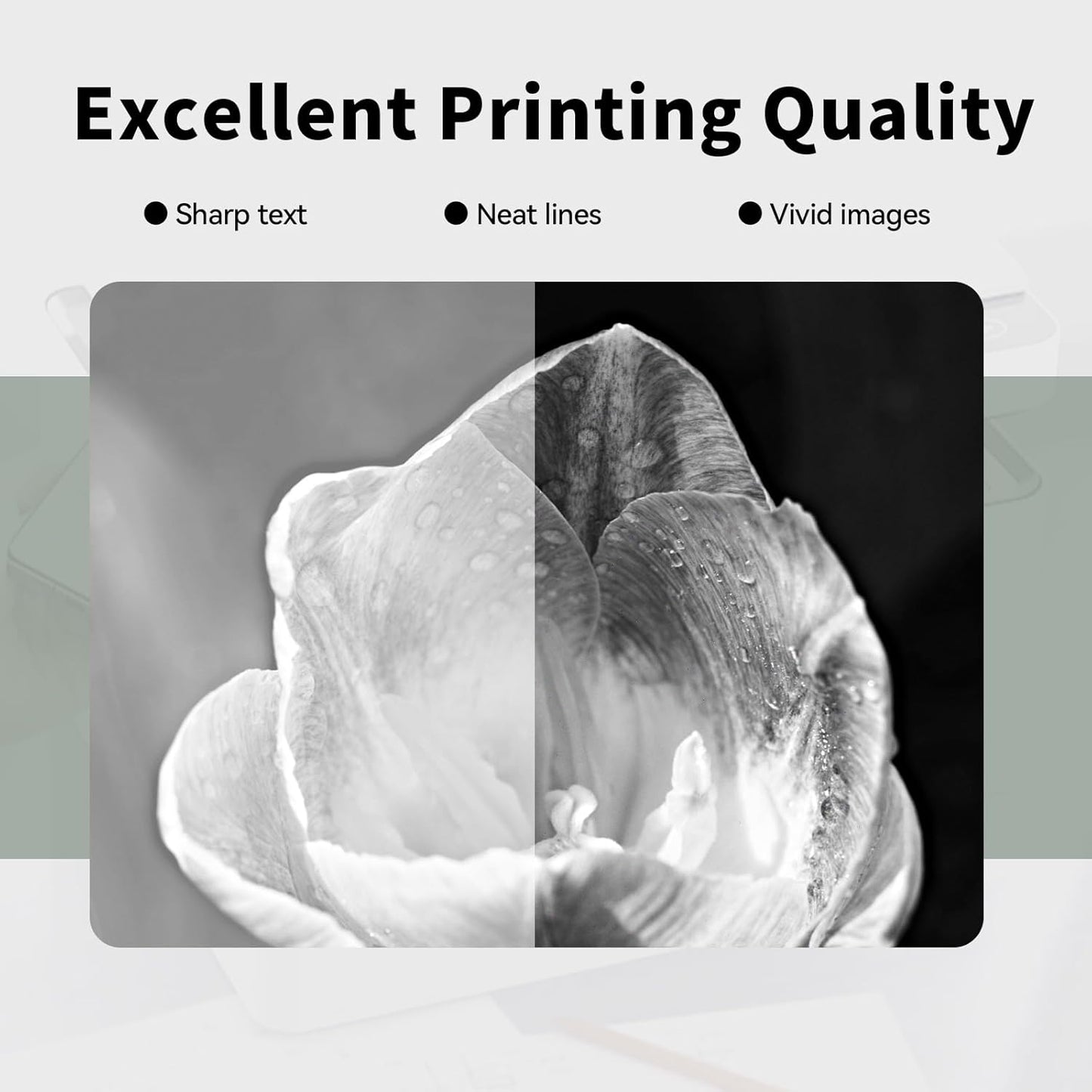 32A Black Imaging Drum High Yield Replacement for HP 32A CF232A Drum Unit Compatible with M203dn M203dw MFP M227fdn M227sdn M227fdw Printer (2-Pack)