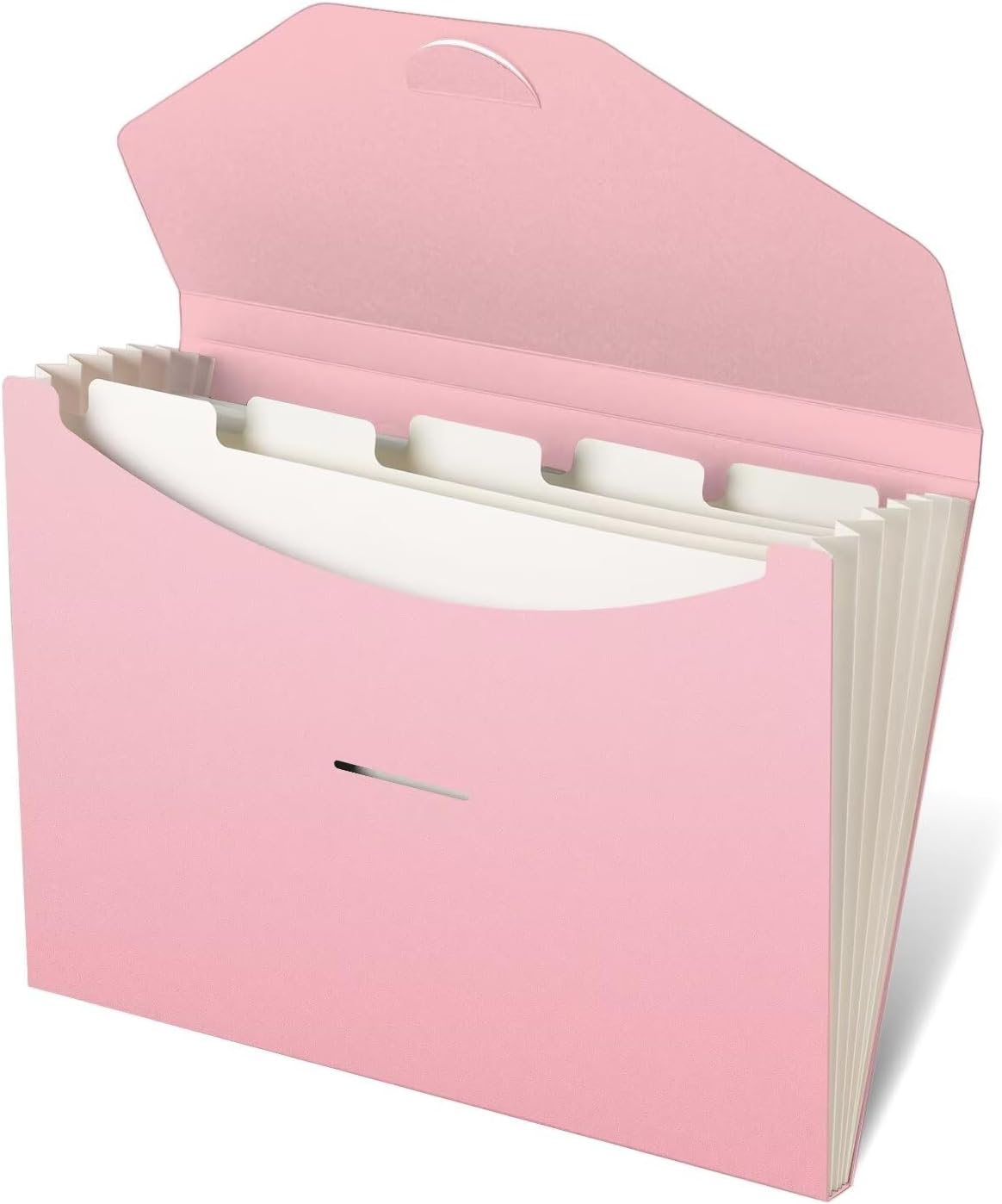 Blue Lake ECOLIFE Expanding File Folder Accordion Folders ECO Friendly 6 Pocket Organizer Pink