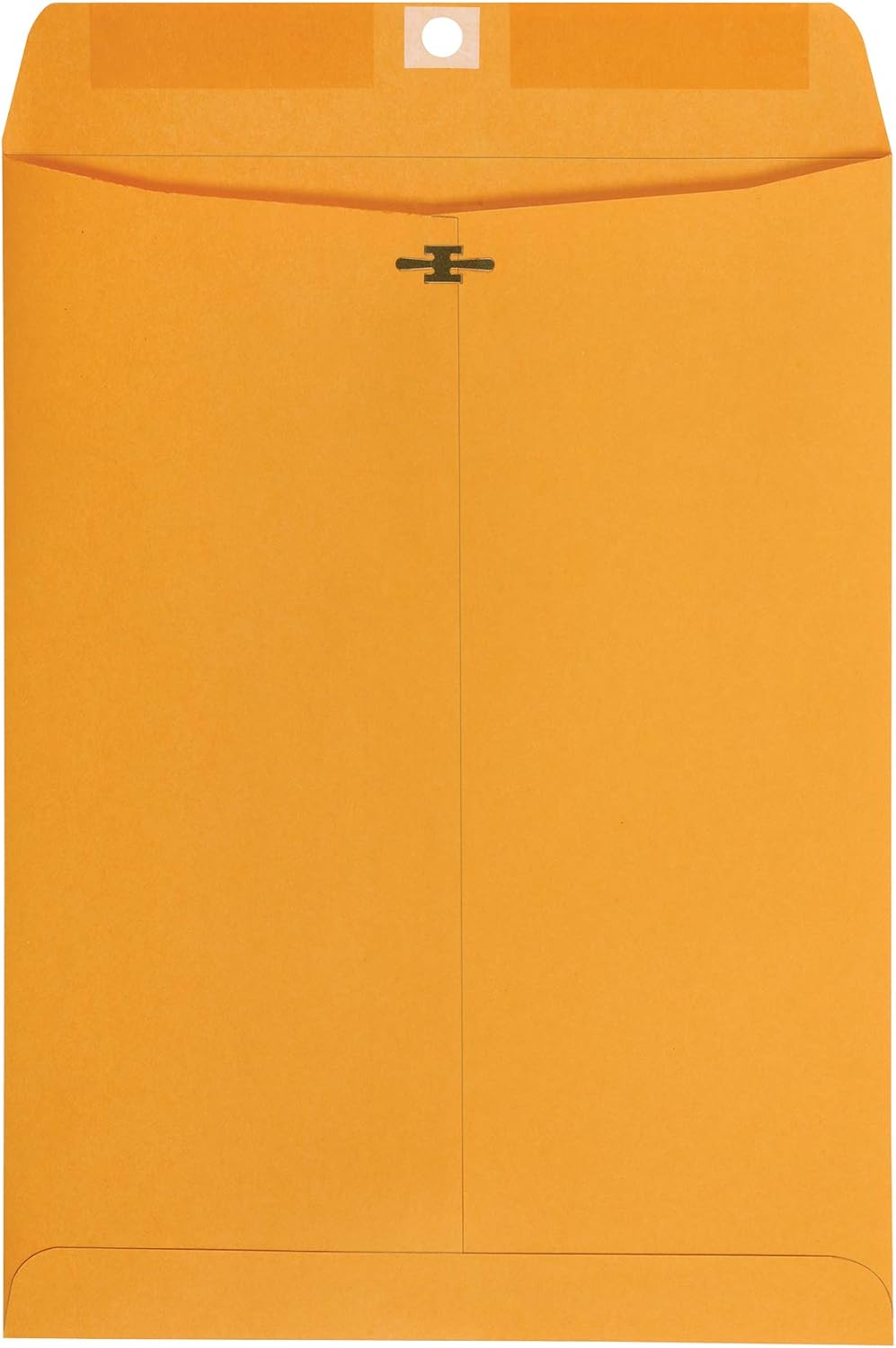 Amazon Basics Clasp Kraft Envelopes, Gummed Mailing Envelope, 9 x 12 inch, 100-Pack