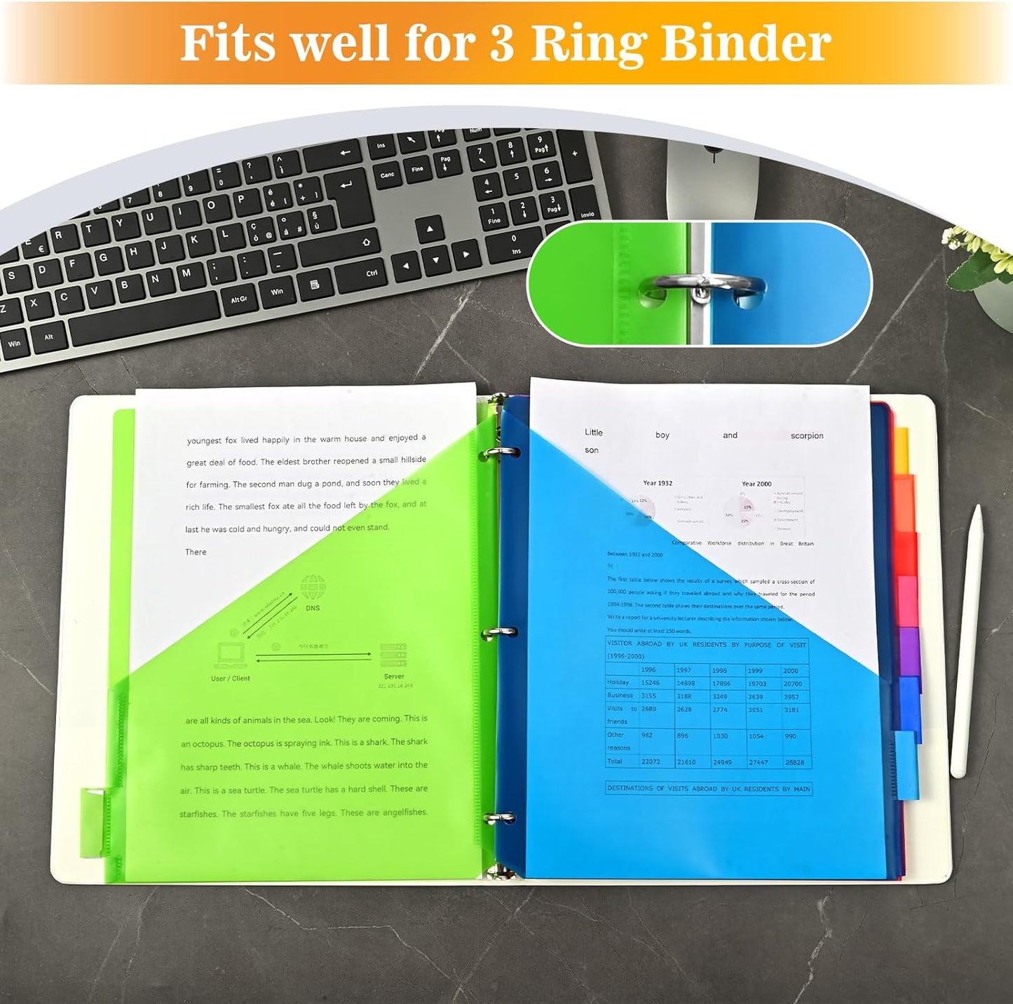 8-Tab Dividers for 3 Ring Binder, 48 Count Binder Dividers with Pockets, Subject Dividers, 3-Hole Plastics Sheets Protectors for US Letter Size in 0.5", 1",2" Binders, Vibrant 8 Color, 6 Packs