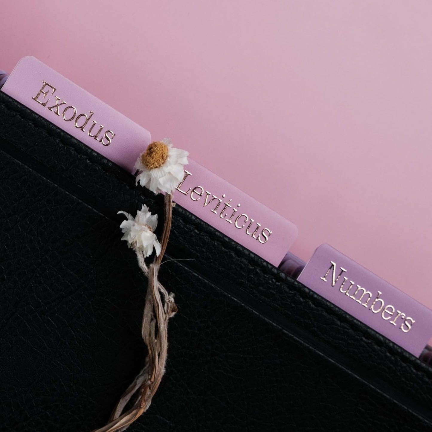 UPAFEXXI-Laminated Bible Tabs (Gold Foil Embossed Lettering), Bible Tabs for Women and Men, Reposition Large Print Stickers, Easy to Read and Apply, 80 Chapters Labels for Easy Navigation(Purple)