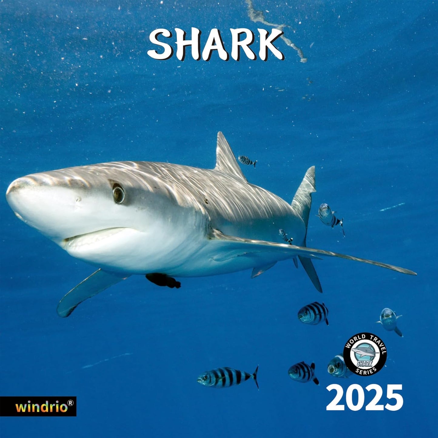2025 Wall Calendar,Calendar 2025, January 2025 - December 2025, Wall Calendar Shark, 12" x 24" Opened,Full Page Months Thick & Sturdy Paper for Gift Perfect Calendar Organizing & Planning