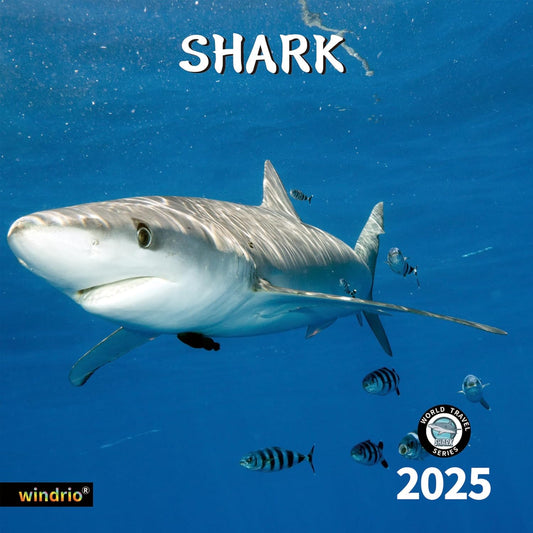 2025 Wall Calendar,Calendar 2025, January 2025 - December 2025, Wall Calendar Shark, 12" x 24" Opened,Full Page Months Thick & Sturdy Paper for Gift Perfect Calendar Organizing & Planning