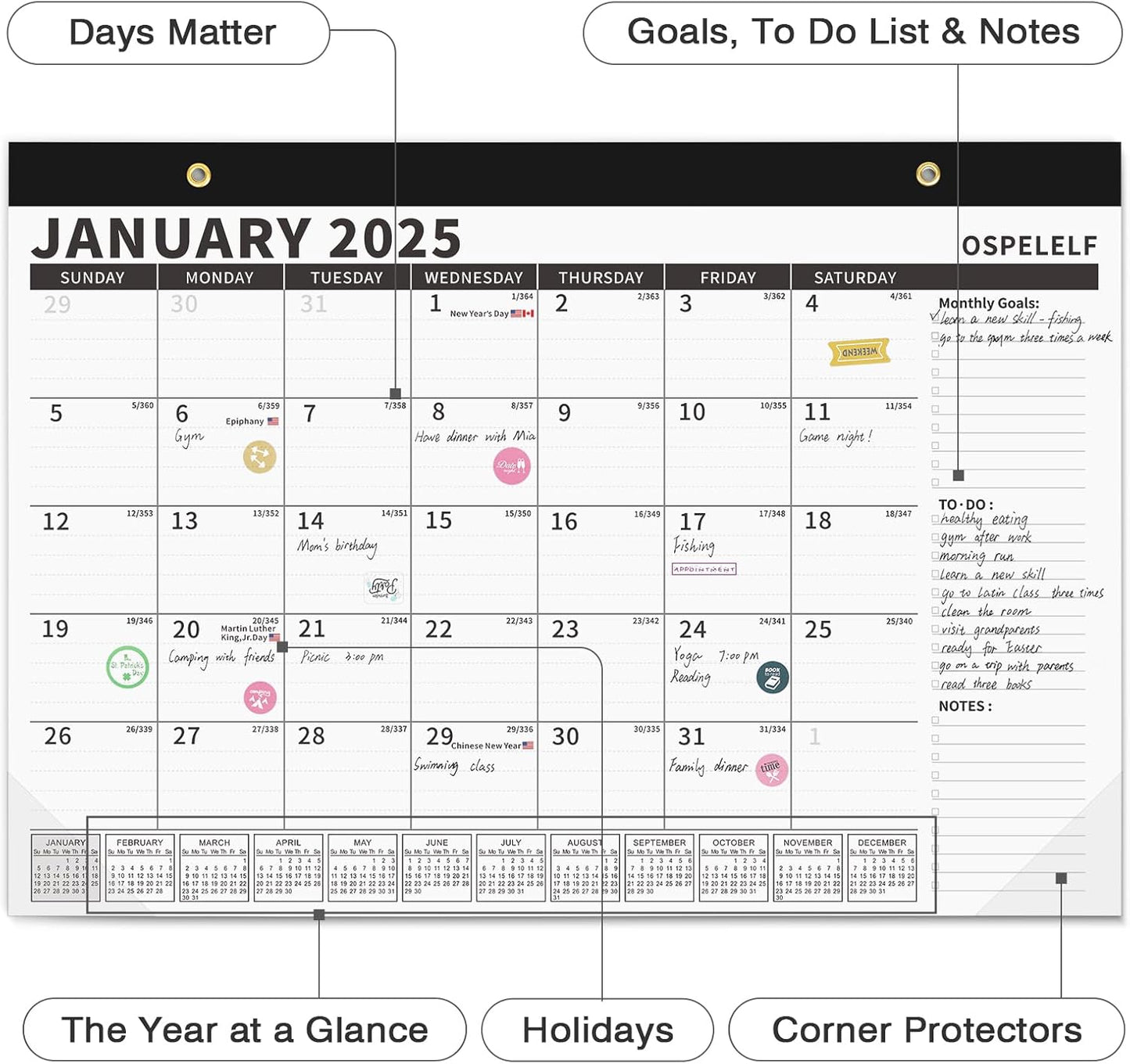 Ospelelf Magnetic Calendar 2025-2026 for Refrigerator, Desk Wall Calendar, January 2025 to June 2026, Monthly Large Planner Pad with Plastic Cover 17" X 12" Black