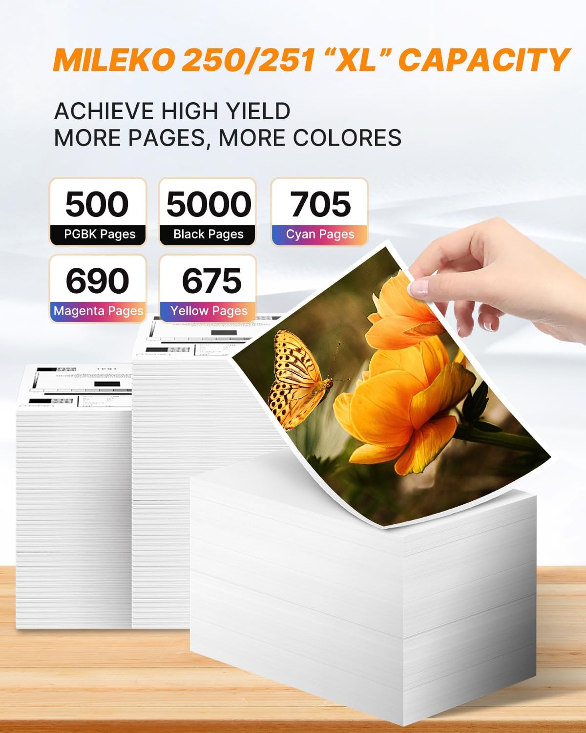 250 251XL Ink Cartridges for Canon Printers for Canon 250 and 251 Ink Cartridges for PIXMA MX922, MG5420, MG5520, MG5522, MG6320, MG6620, iP7220 Printer (5 Pack, PGBK, Black, Cyan, Magenta, Yellow)