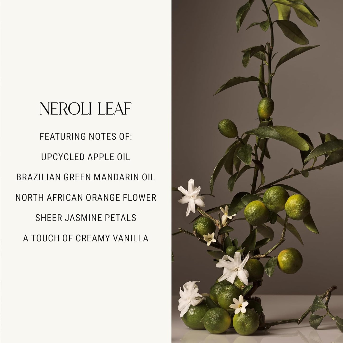 Homecourt All-Purpose Surface Cleaner Spray, Lifts Away Dirt, Smudges & Grease, For Bathroom, Kitchen & more, Clean Formula, Neroli Leaf, 16 fl oz