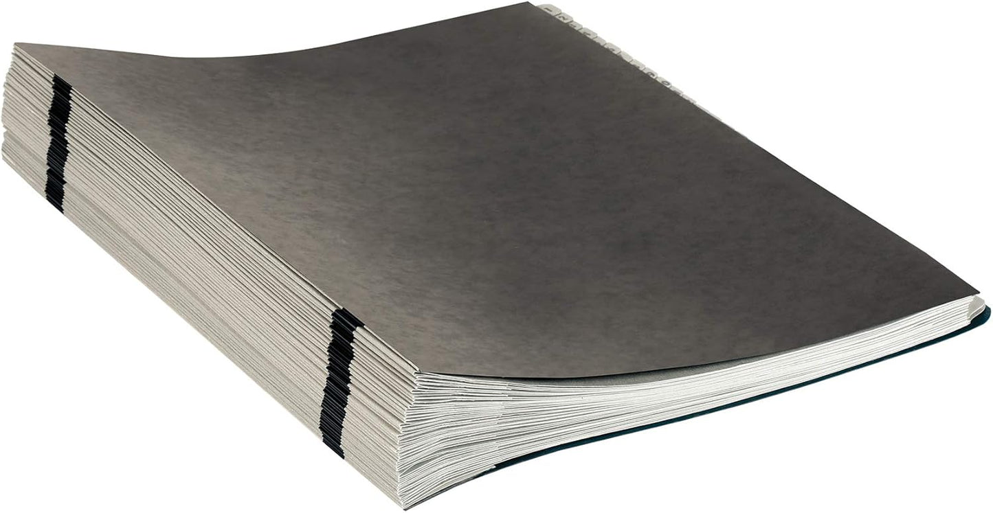 Amazon Basics Expanable Office File Sorter,Daily & Monthly File Organizer, Letter Size, Black