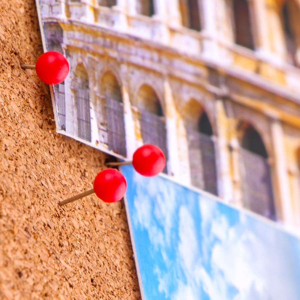 Yalis Push Pins Map Tacks 1/8-Inch Assorted Color Beads Head Map Marking Push Pins,500-count (Red)