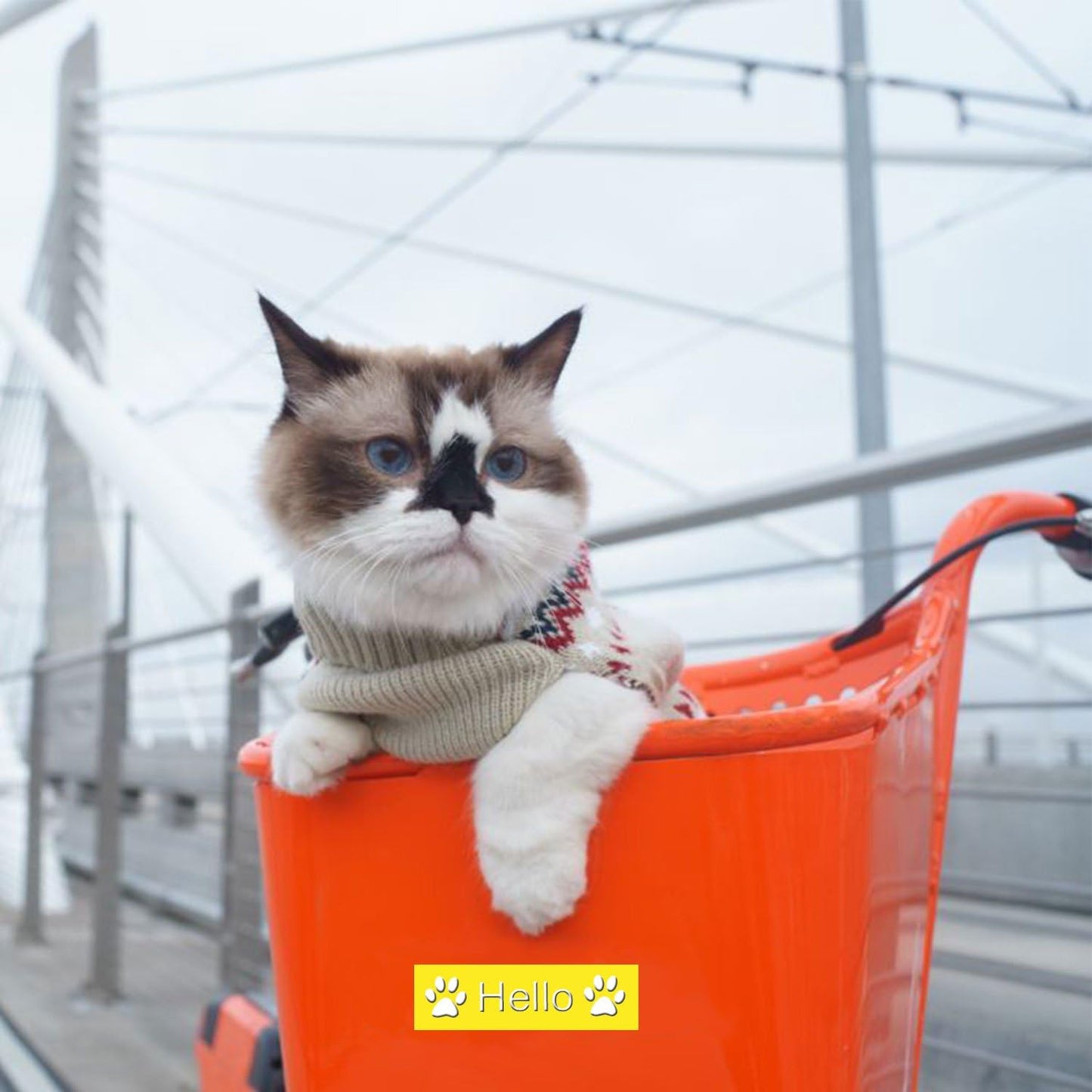 Pristar Compatible Label Tape Replacement for Dymo 3D 3/8 in x 9.8 ft Plastic Embossing Label Tapes 9mm for Dymo Organizer Xpress Pro Label Maker, White on Black/Red/Blue/Green/Light Yellow, 10-Pack