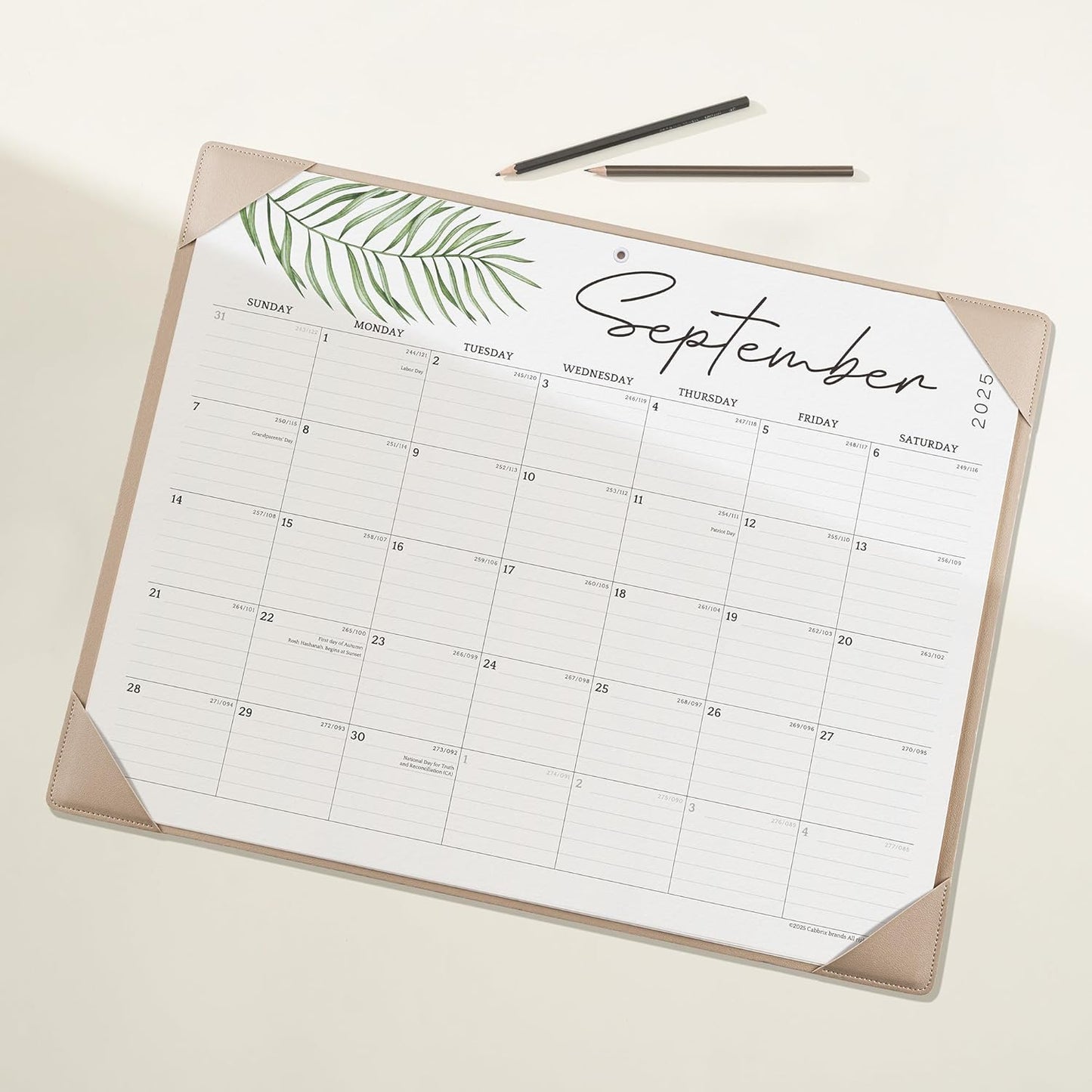 Large Desk Calendar 2025-2026 with Desktop Mat, Cabbrix Desk Pad Calendar 21 x 16-1/2 Inch from July 2025 to December 2026, Desk Blotter Calendar for Home School and Office
