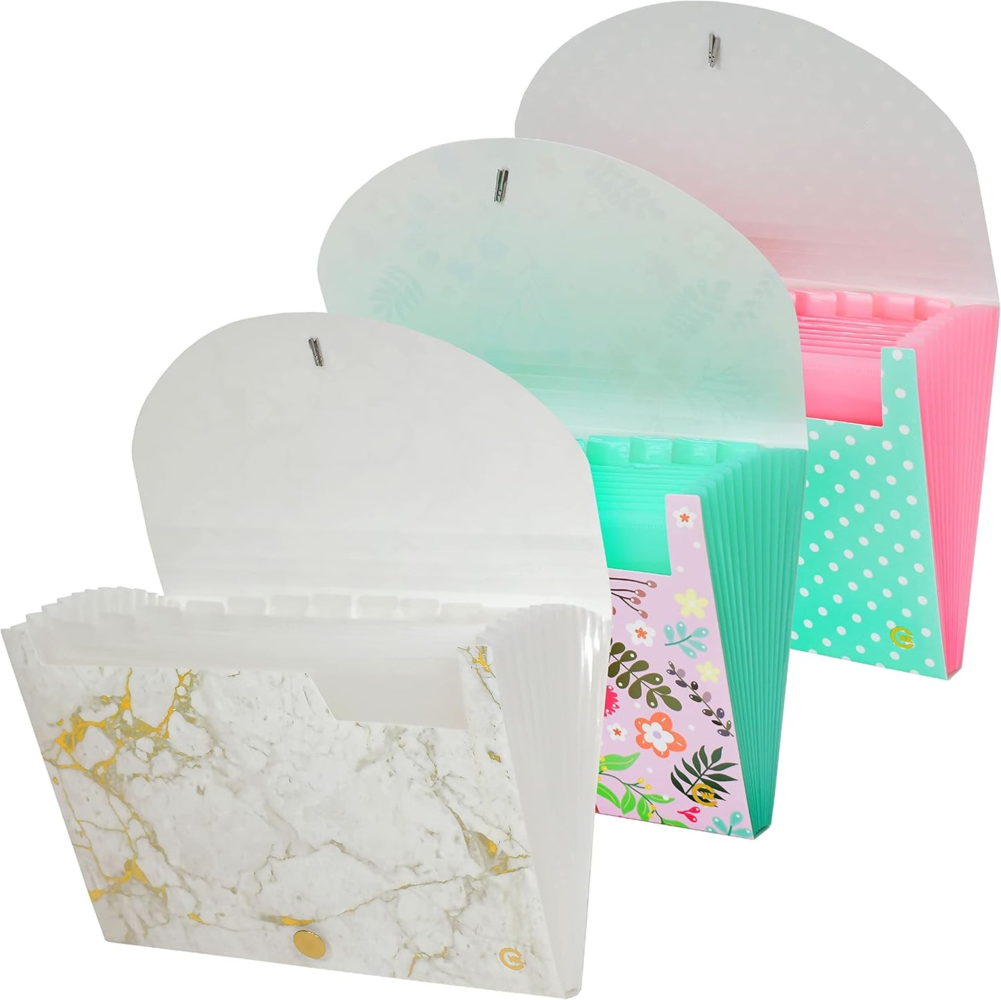 CNK File Folder Organizer with 13 Pocket Accordion Binder Expanding Folders for Document Receipt Paper Document Pocket Accordian Expandable Holder Files School Office Labels Letter Filing