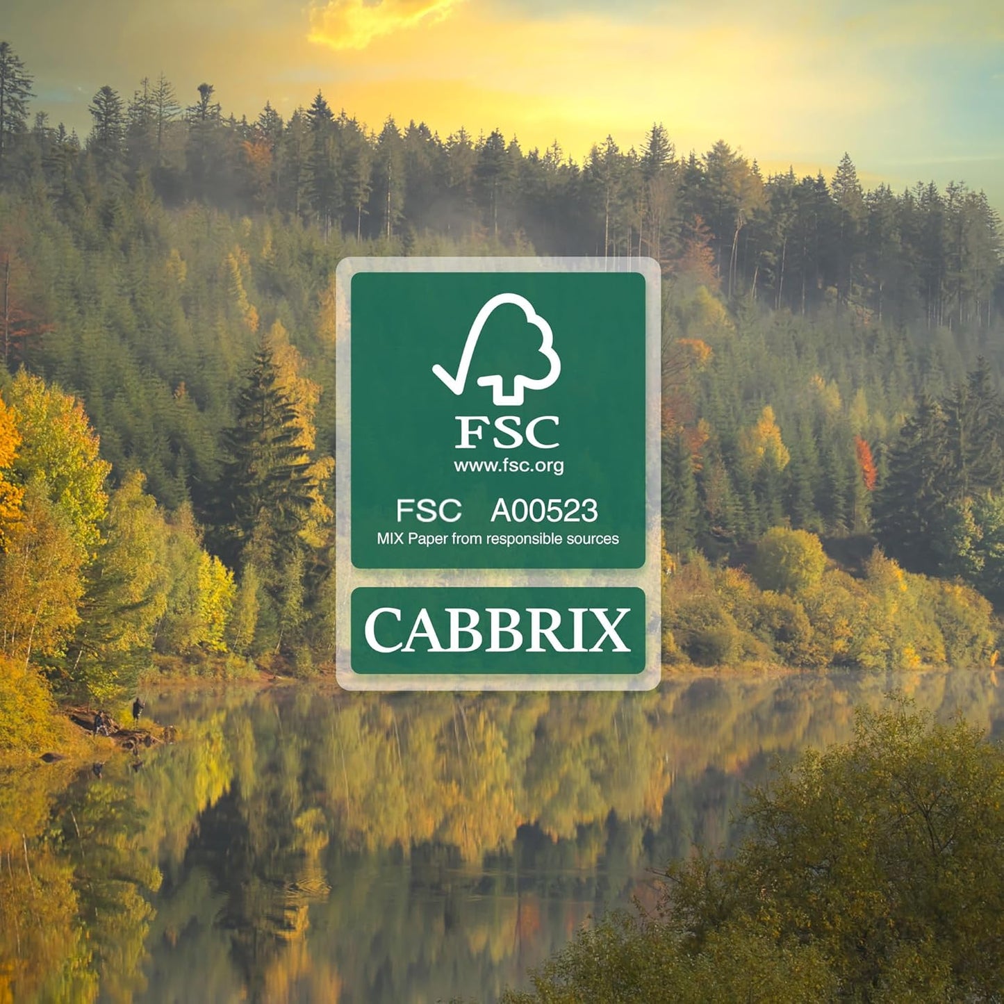 Desk Calendar 2025-2026 with Desktop Mat, Cabbrix Large Desk Pad Calendar 22 x 17 Inch Runs From July 2025 to December 2026, Floral Design Calendar 2025 for Home School and Office (Green)