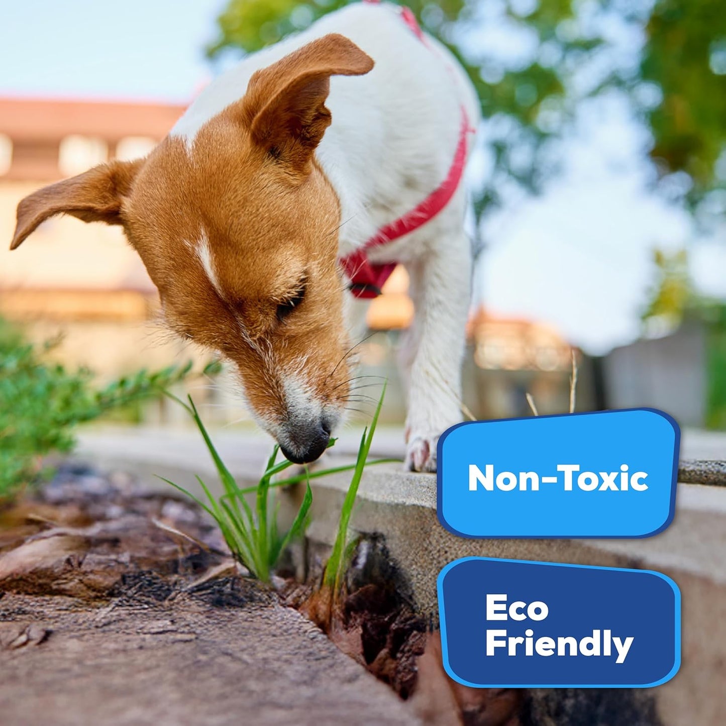 Superclear TerraLock Mulch Glue for Landscaping, 5 Gallon Rock Glue. Easy Spray, Easy Hold. Perfect for Mulch, Pea Gravel Large & Small, Rock, Straw and Stone, Pega para Piedras de Jardin