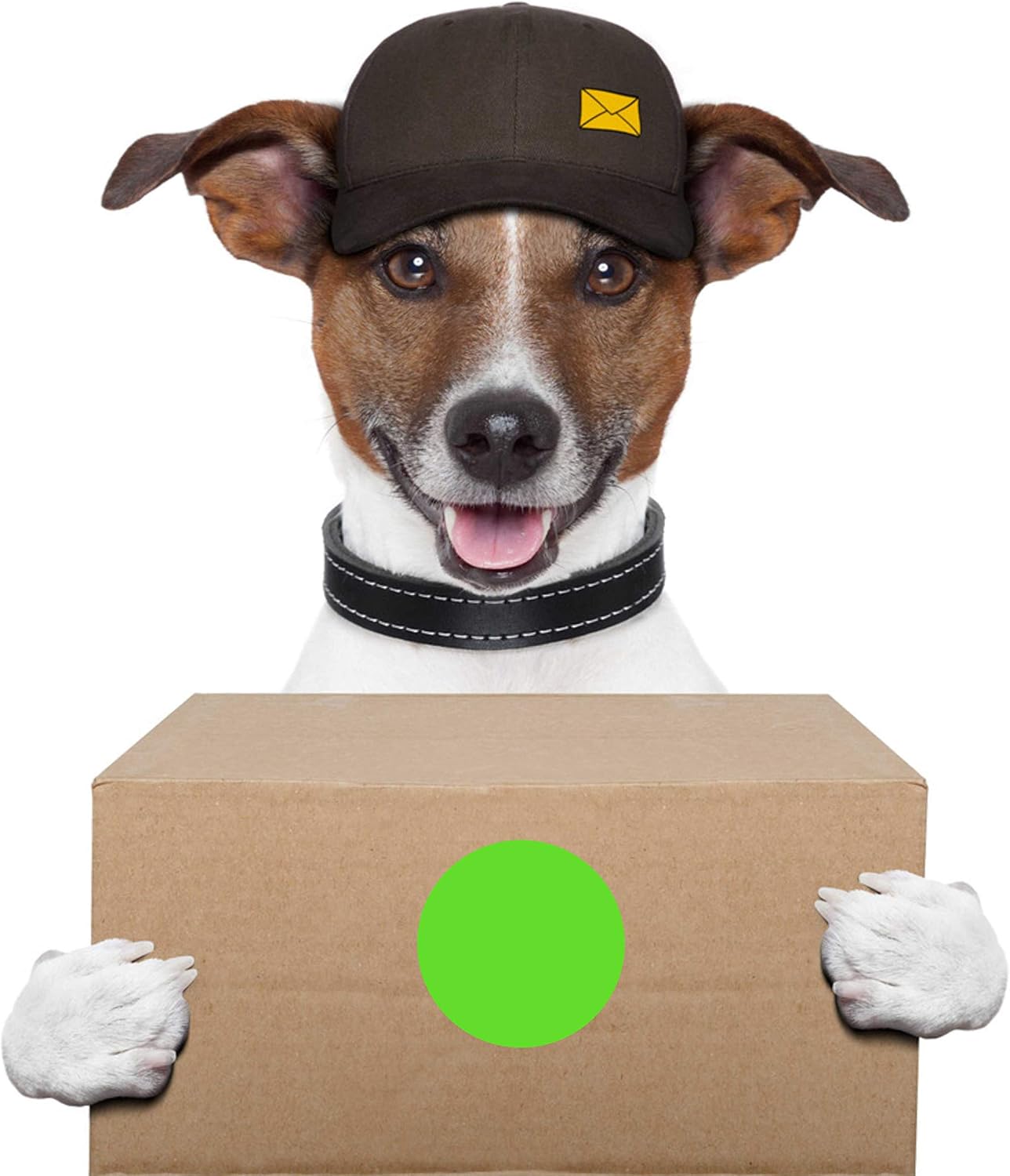 PARLAIM 3 Inch Round Color-Code Dot Stickers, 500 per Dispenser Box Roll dots Label,Light Green Inventory Circle Stickers