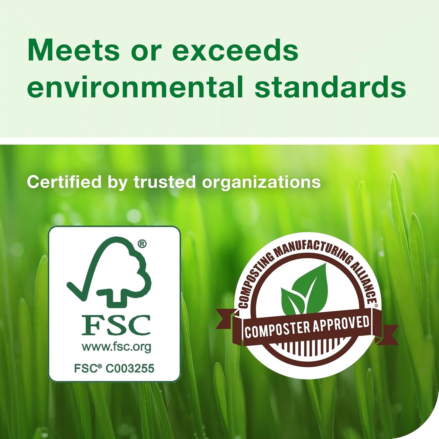 Tork Hand Towel Roll White H80, Advanced, High Absorbency, 6 Rolls x 1000 ft, 8031050