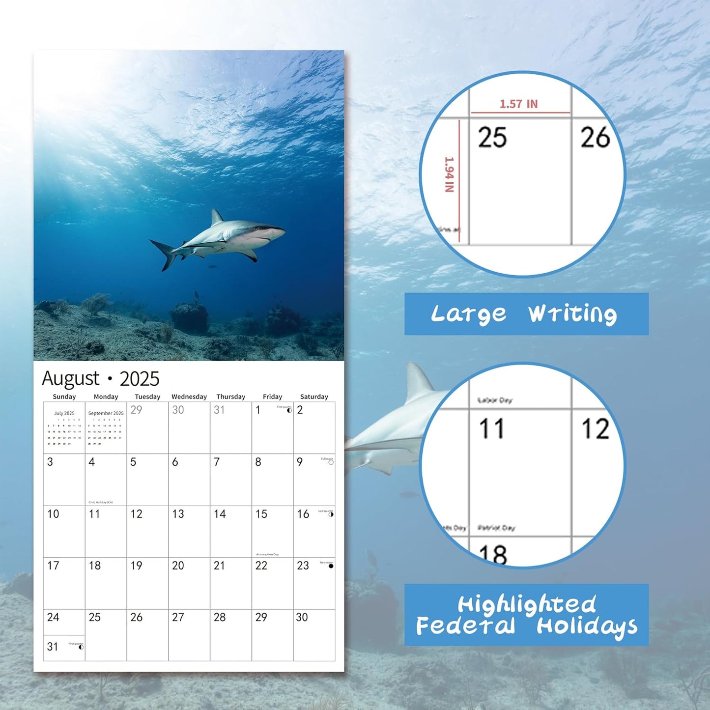 2025 Wall Calendar,Calendar 2025, January 2025 - December 2025, Wall Calendar Shark, 12" x 24" Opened,Full Page Months Thick & Sturdy Paper for Gift Perfect Calendar Organizing & Planning