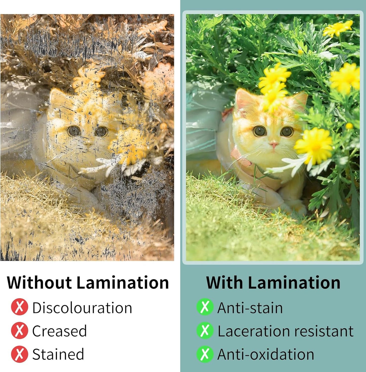 Laminating Sheets - 3Mil 1500 Pack Thermal Laminating Pouches, 9"x11.5" Clear Laminate Sheets for Schedules, Menus, Certificates, Art Drawings, Round Corner